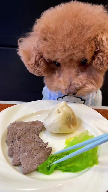 @dog eat