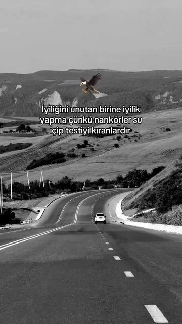 @çılgın 🚴♂️🇹🇷🫡