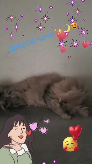 @Ainagul