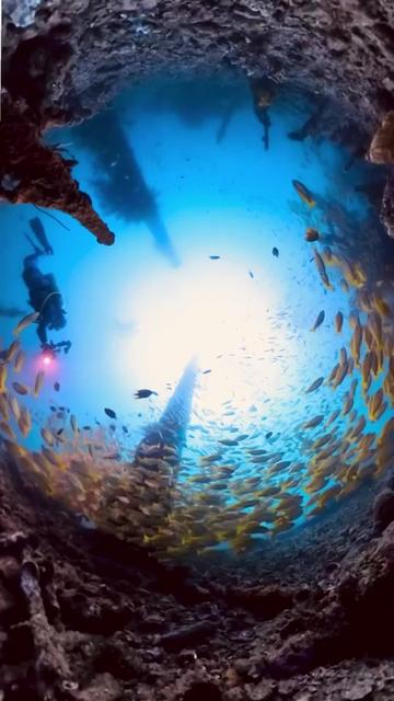 @Scuba Diving with Ara
