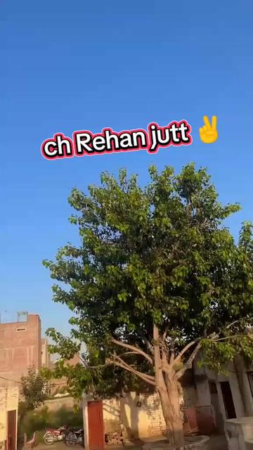 @ℂℍ,,,ℝ𝔼ℍ𝔸ℕ,,,𝕁𝕌𝕋𝕋