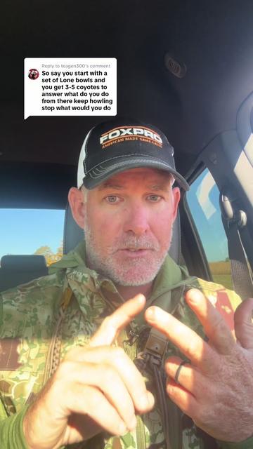 @FOXPRO Game Calls