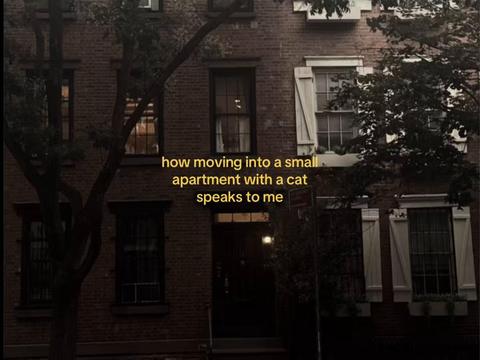 @feelingverycold