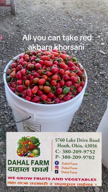 @B.A Organic Farm(380)209-9752
