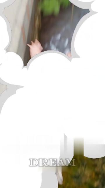 @dreamfacts