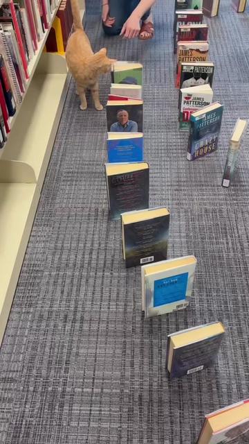 @Clarkson Public Library