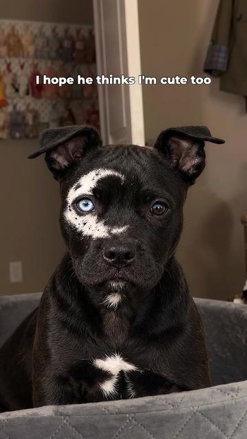 @moonfetches