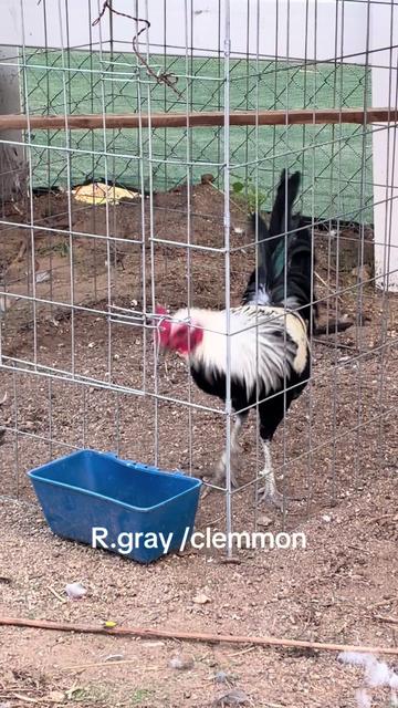 @A.MENDOZA.FARM.USA 74HWY