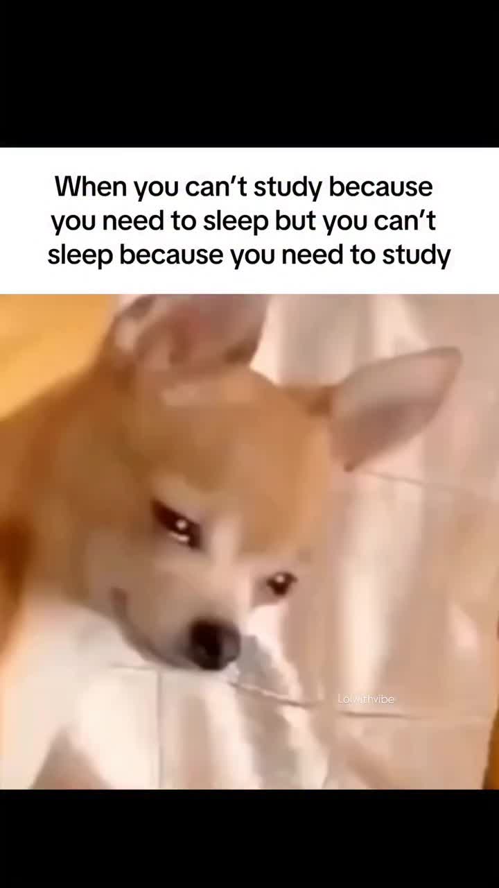 @𝑍𝐴𝑌𝐾𝑂