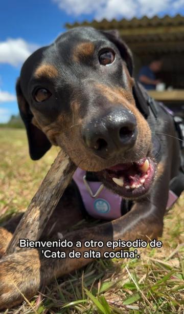 @lavida_unviaje