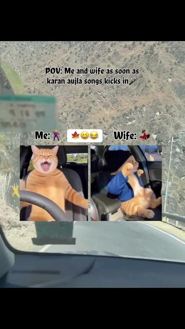 @vehlijanta761