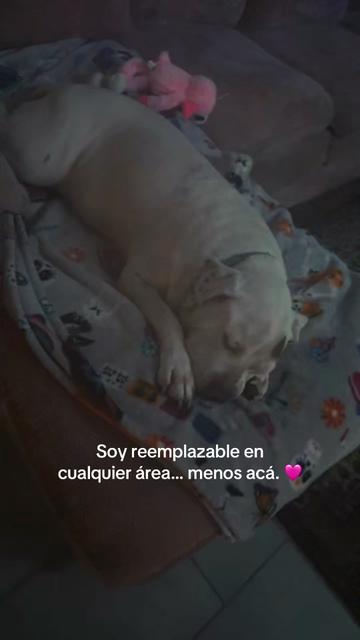 @Curvaspeligrosas33