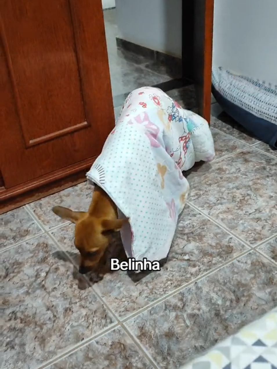 @Belinha e tiamara