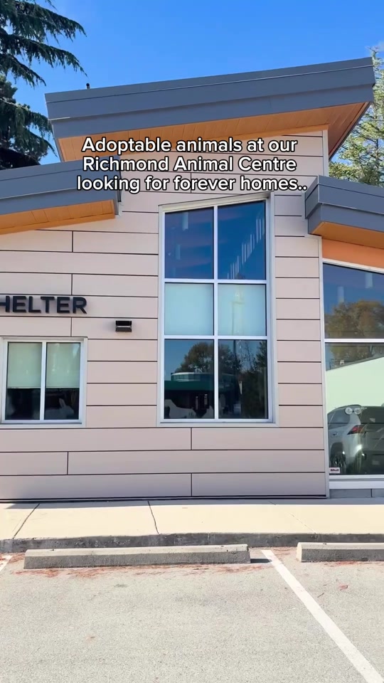 @BC SPCA