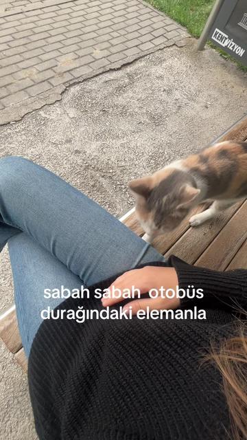 @suru