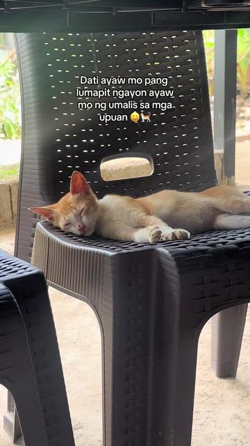@itsniannch