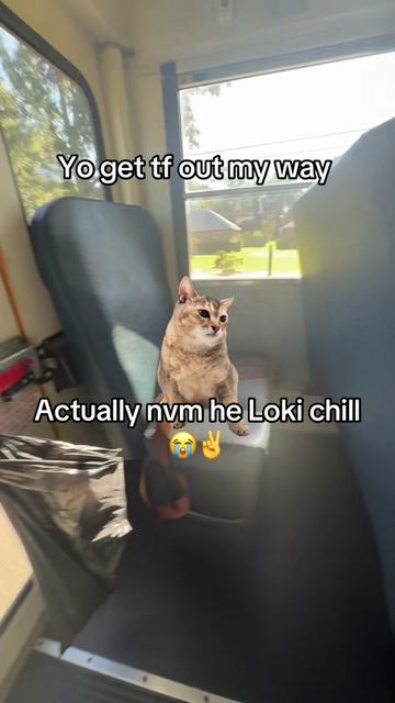 @𝓓𝓪𝔂𝓭𝓪𝔂