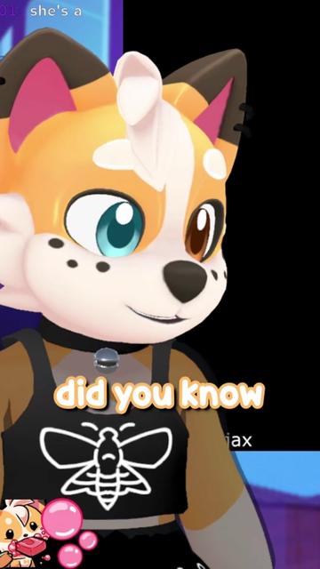 @Corgi