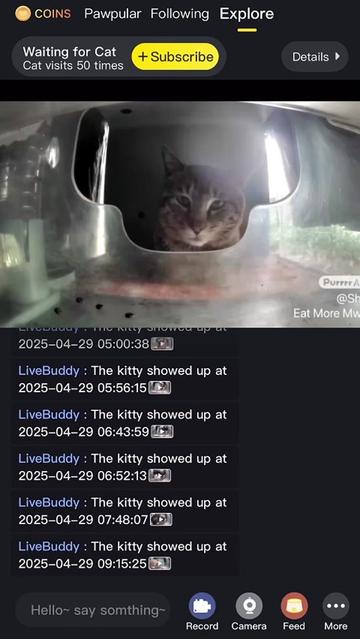 @purrrr