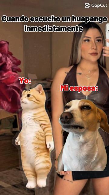 @Iris Arenas