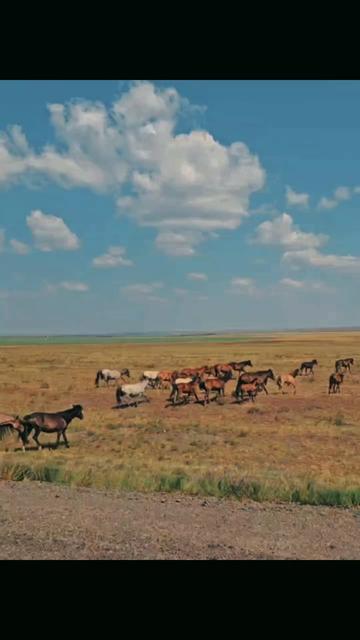 @Виктория Батьковна🤗