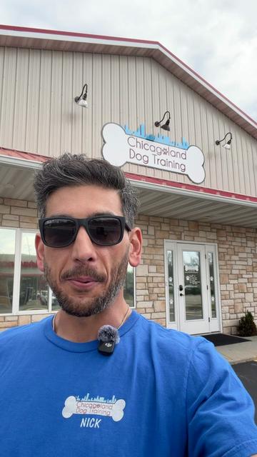 @Chicagoland Dog Training