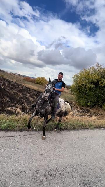 @BERTI RANCH 🐎