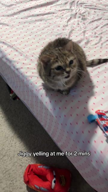 @๐๐ฎ๐ต๐ธ๐ญ๐ & ๐๐ฒ๐ฐ๐ฐ๐