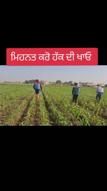 @MandeepBainspb12