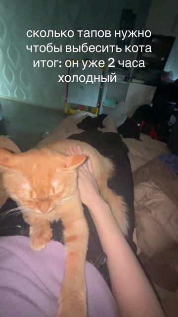 @надька
