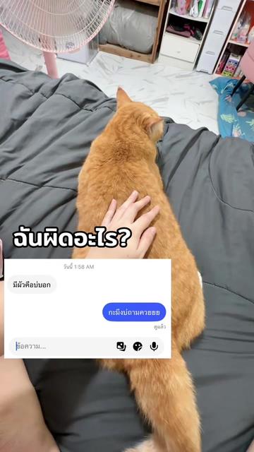 @เปียไหน
