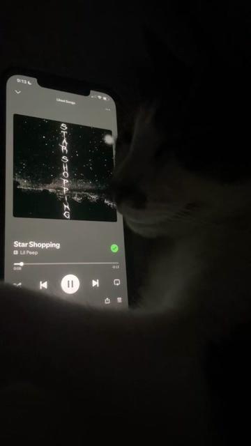 @sleepycatwithmusic