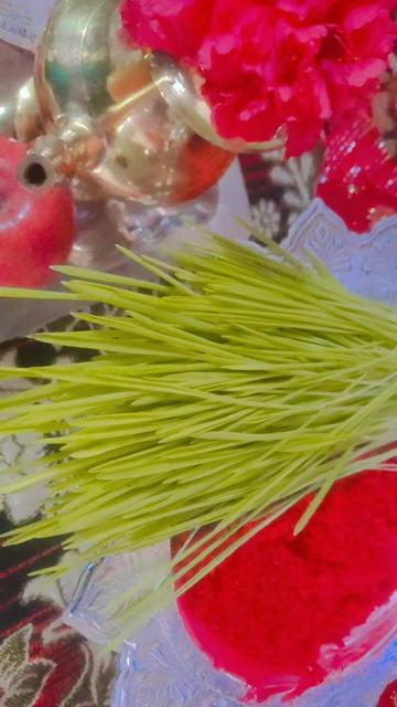 @Komal Mandal