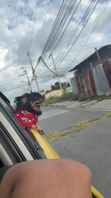 @🍀🐾Luis Pulgarin y Mafrencito