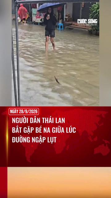 @Cuộc Sống Quanh Ta