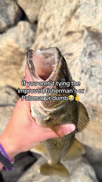 @FattBassFishing