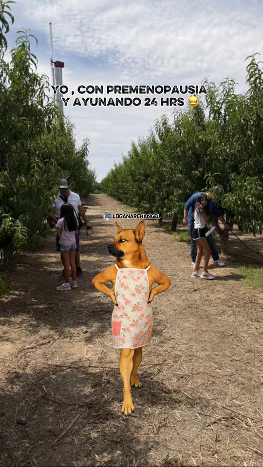 @Belen Leyva