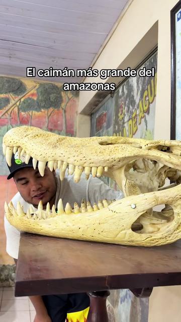 @Jair Herrera 🐆