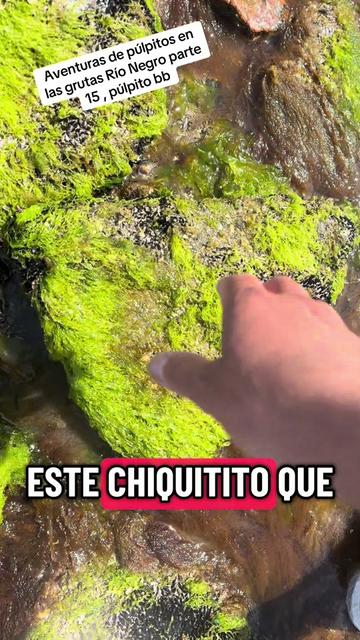 @El flaco