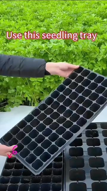 @Sue