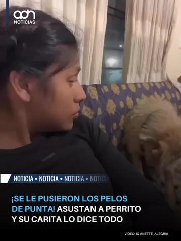 @adn Noticias