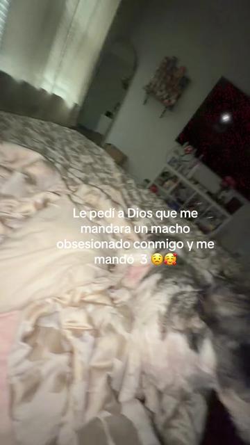 @Esmeralda Palacios