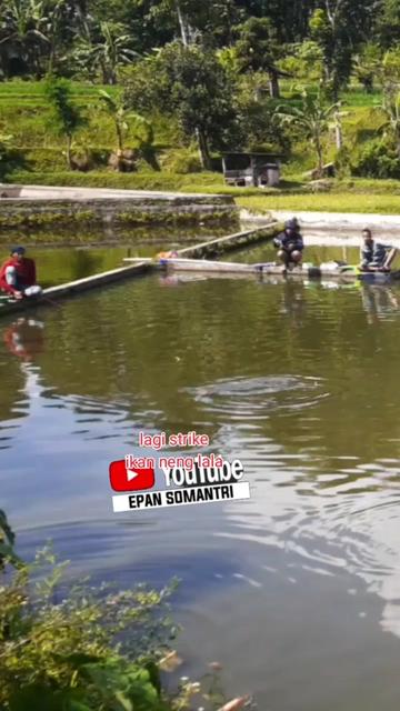 @ipan mancing channel