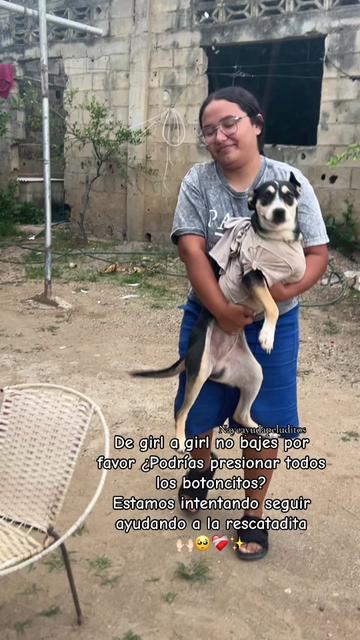 @NayeAyudaPeluditos