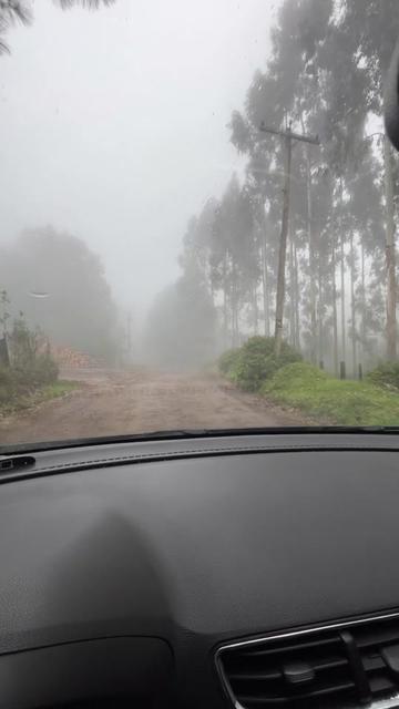 @Sobrevivente basico