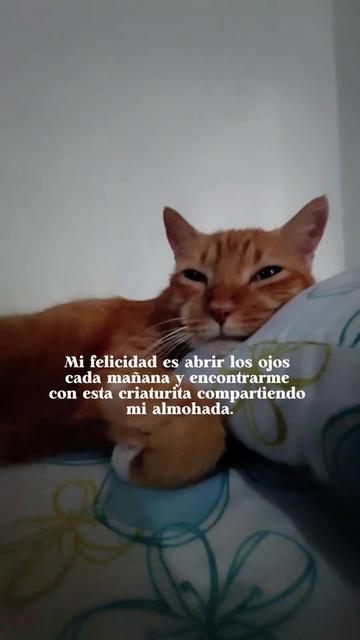 @Mile