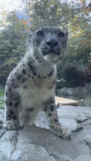 @Cincinnati Zoo