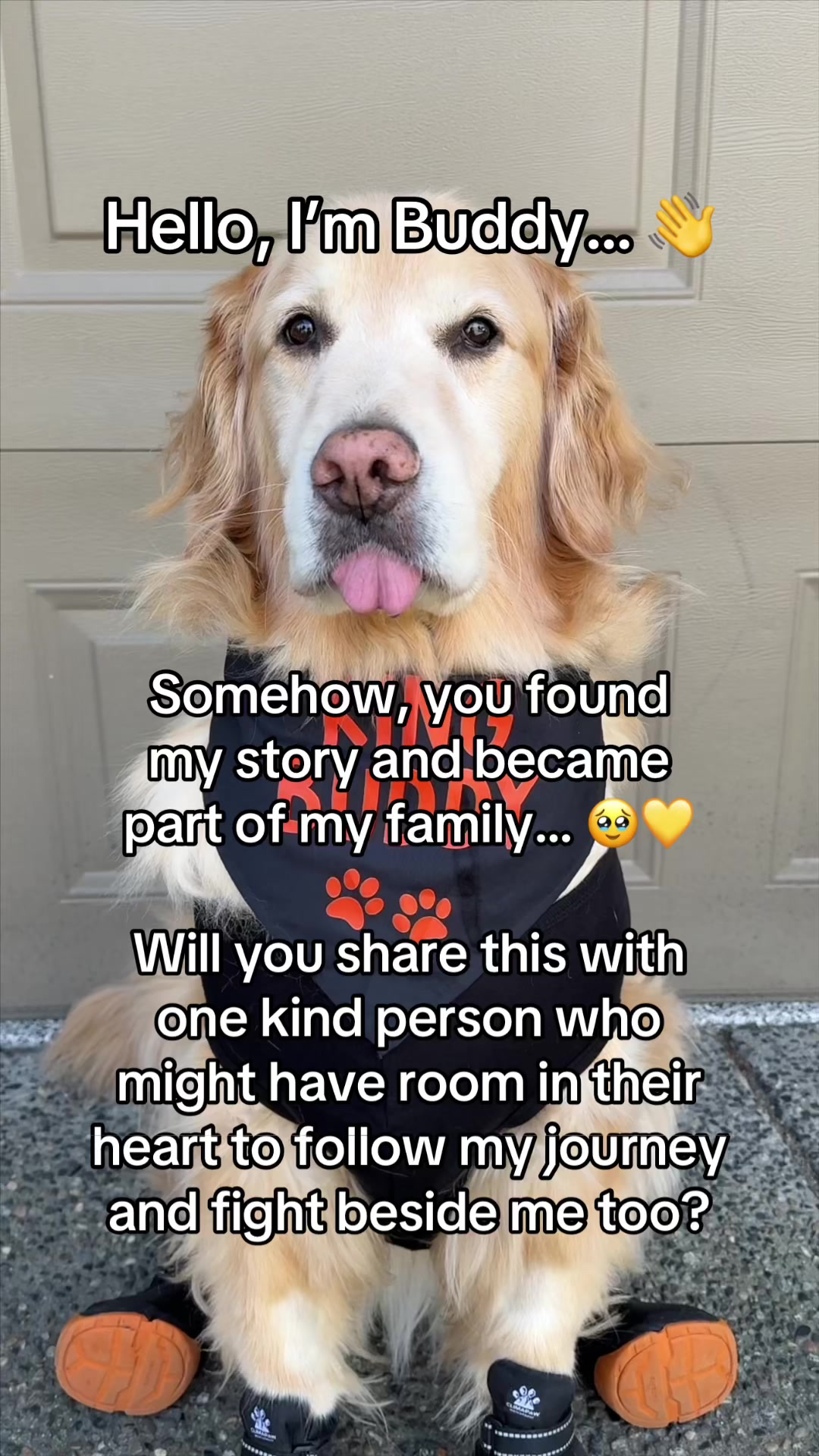 @A Golden and Fam