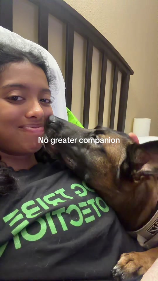 @dogstrainjen