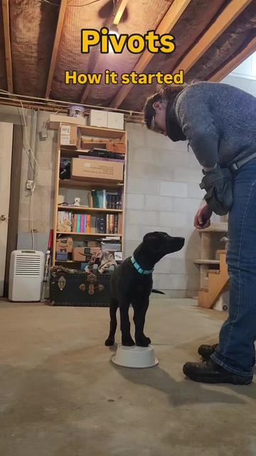 @PetFitness
